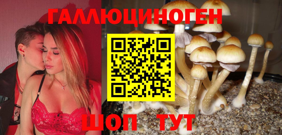 Нижнеудинск  Галлюциногенные грибы Cubensis  Вход с VPN 
